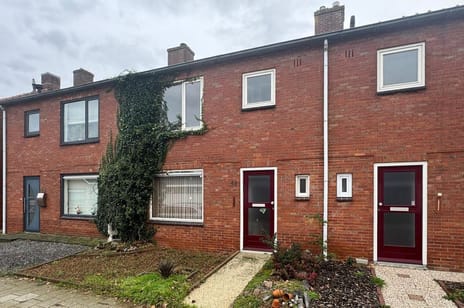 undefined main image