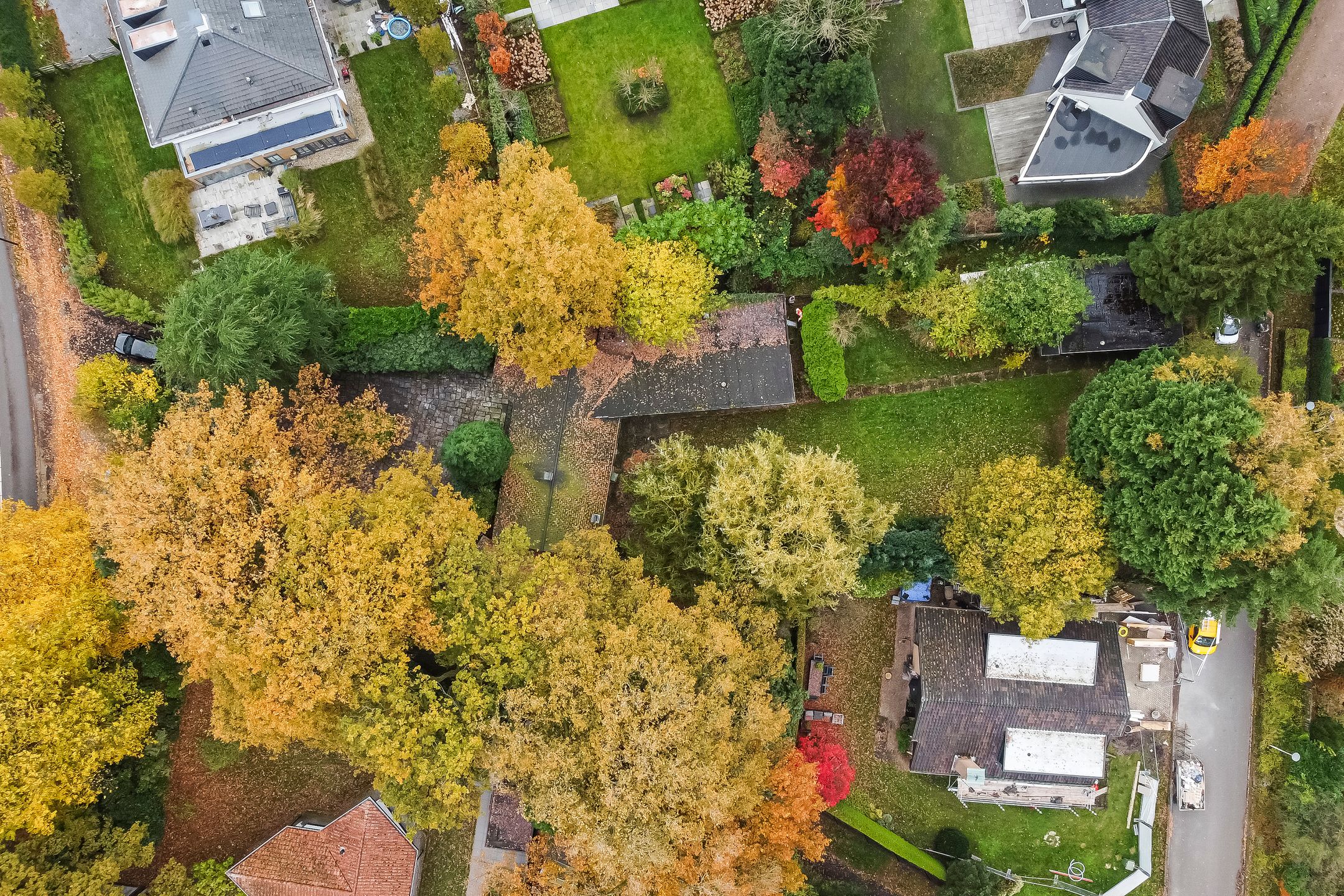 Foto 42 van Noord Esmarkerrondweg 149