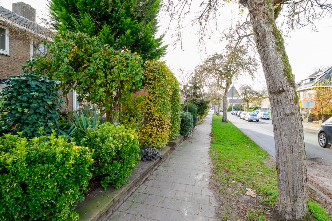 Foto 38 van Minister Goeman Borgesiusstraat 1