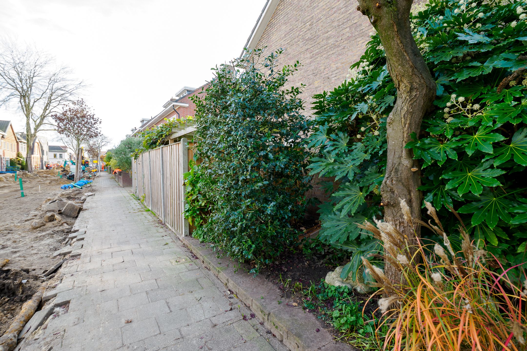 Foto 39 van Minister Goeman Borgesiusstraat 1