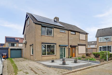 undefined main image