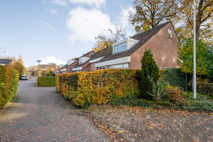 Foto 50 van Henri Dunantstraat 15