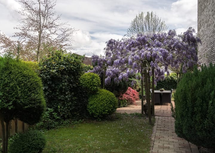 Foto 47 van Cannenburch 32