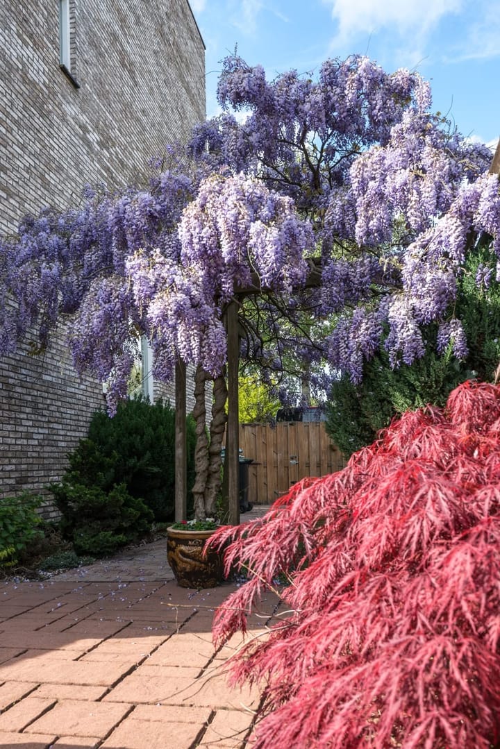 Foto 48 van Cannenburch 32