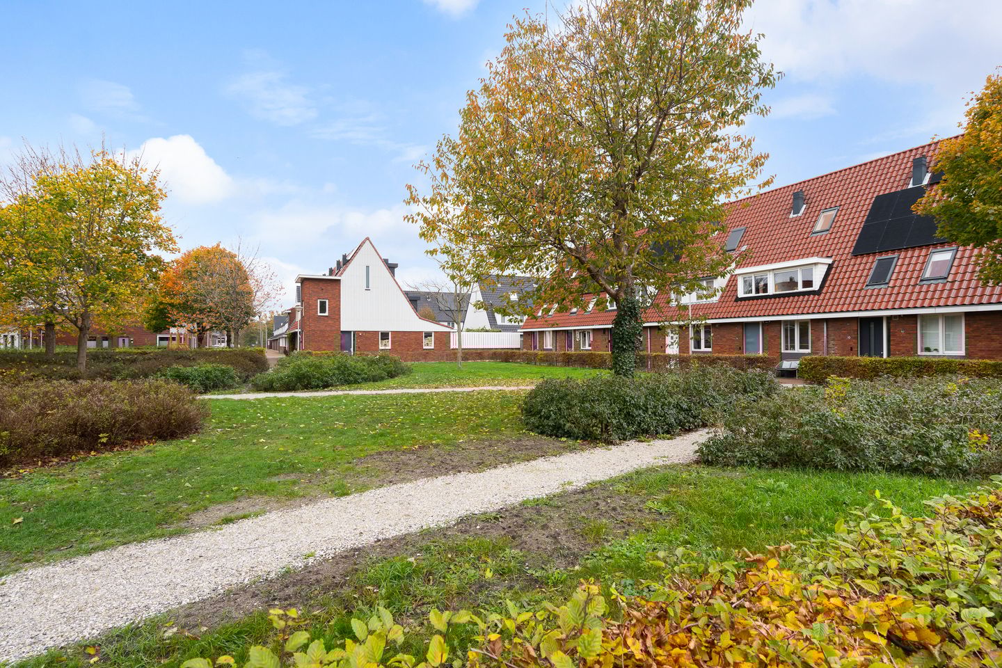 Foto 40 van Madelief 9