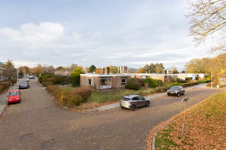 Foto 3 van Tsjomme Wiardaleane 11