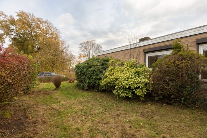 Foto 27 van Tsjomme Wiardaleane 11