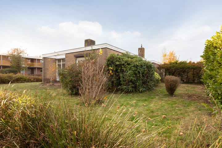 Foto 31 van Tsjomme Wiardaleane 11