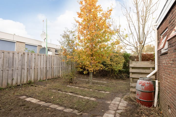 Foto 32 van Tsjomme Wiardaleane 11