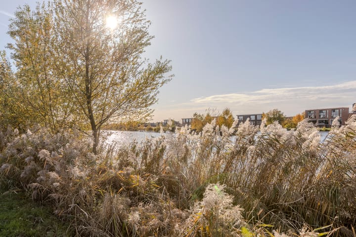Photo 45 of Burgemeester Verdaasdonkstraat 94