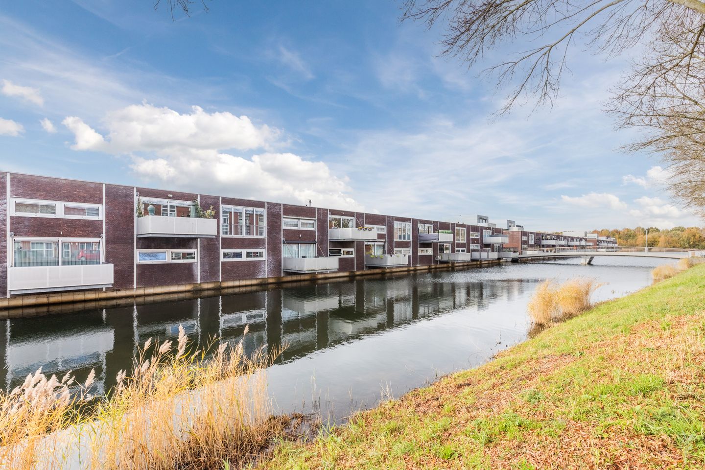 Foto 25 van Priemkruid 16