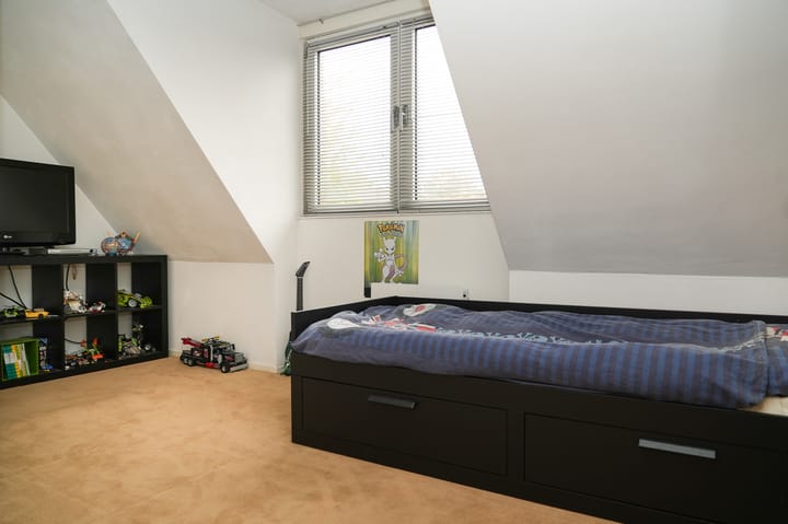 Photo 30 of Hoprank 7