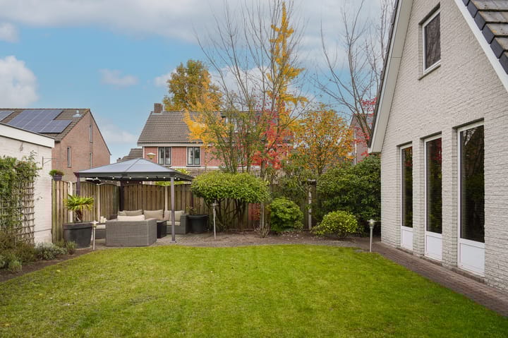 Photo 38 of Hoprank 7