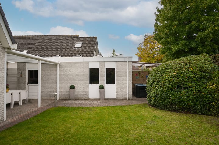 Photo 43 of Hoprank 7