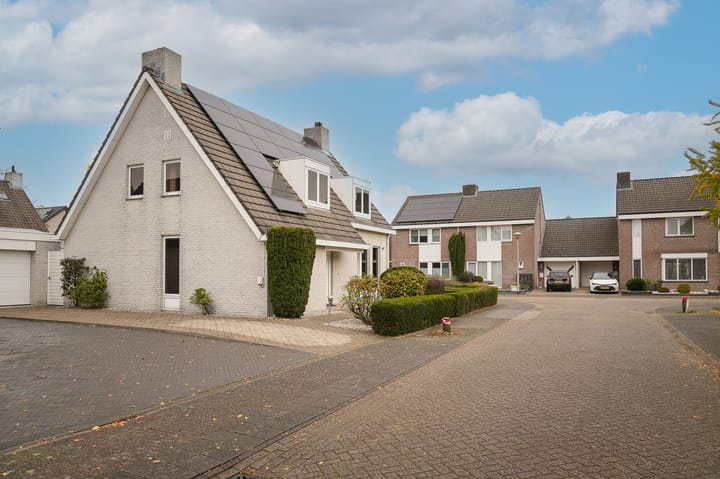 Photo 47 of Hoprank 7