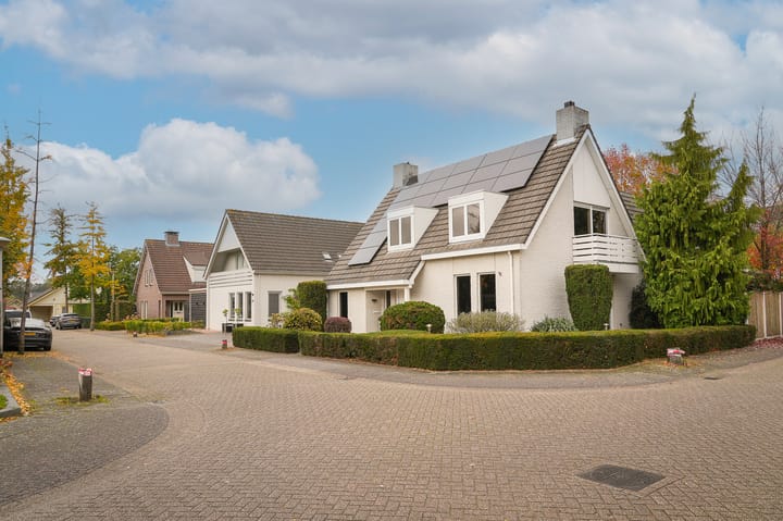 Photo 48 of Hoprank 7