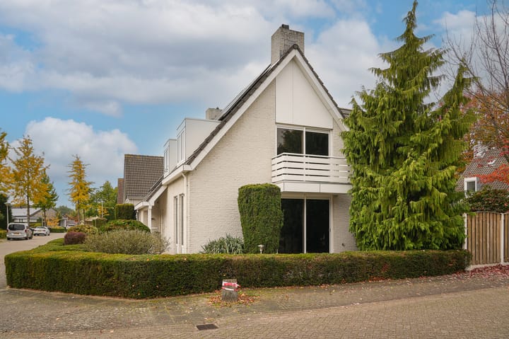 Photo 50 of Hoprank 7