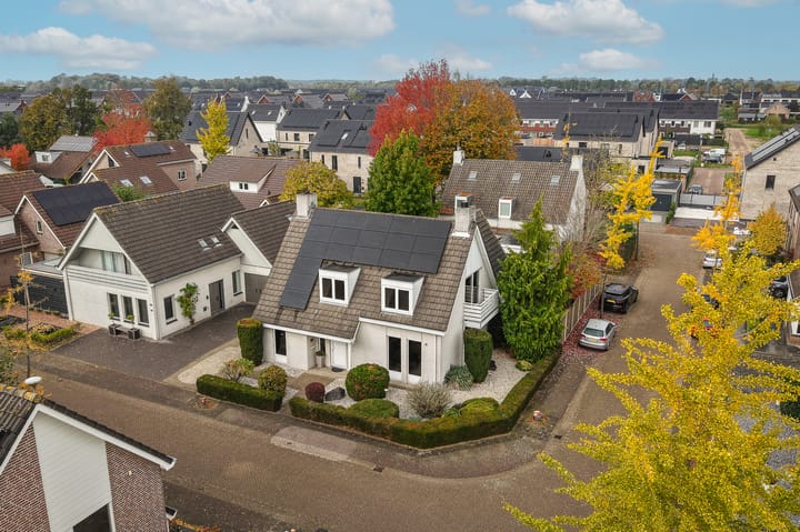 Photo 51 of Hoprank 7