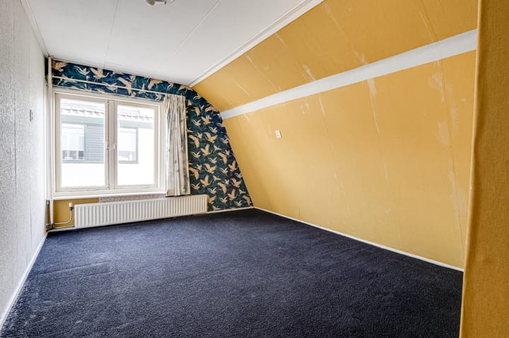 Photo 25 of Schapenland 4