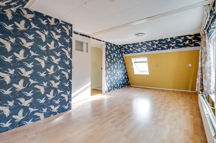 Photo 30 of Schapenland 4