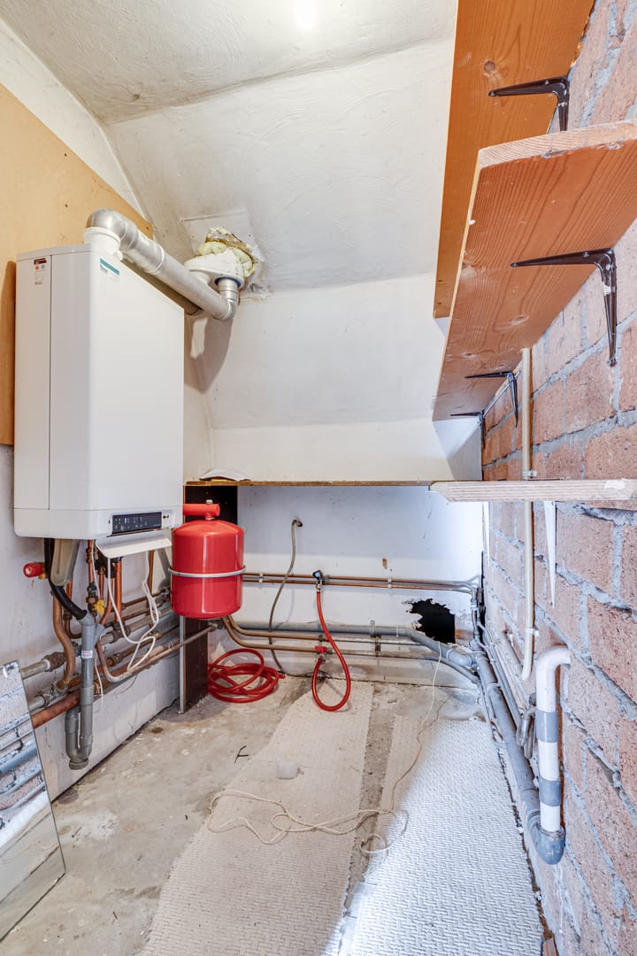 Photo 35 of Schapenland 4