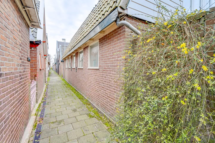 Photo 40 of Schapenland 4