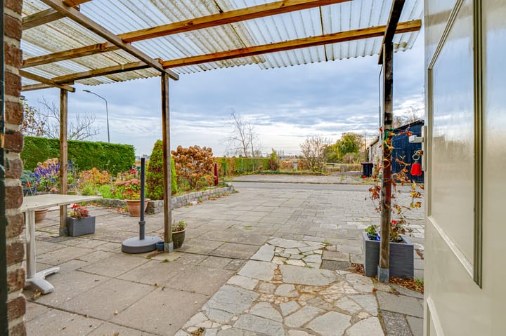 Photo 42 of Schapenland 4