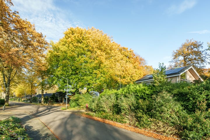 Photo 3 of Lindelaan 9