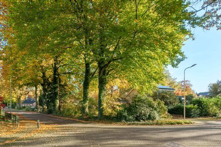 Photo 4 of Lindelaan 9