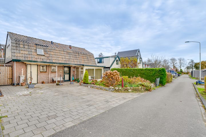 Photo 56 of Schapenland 4