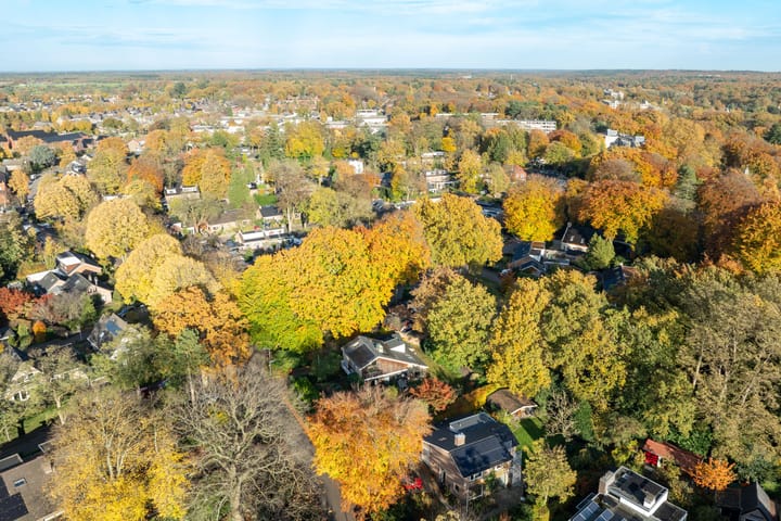 Photo 46 of Lindelaan 9