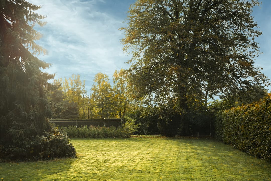 Foto 16 van Apeldoornsestraat 54