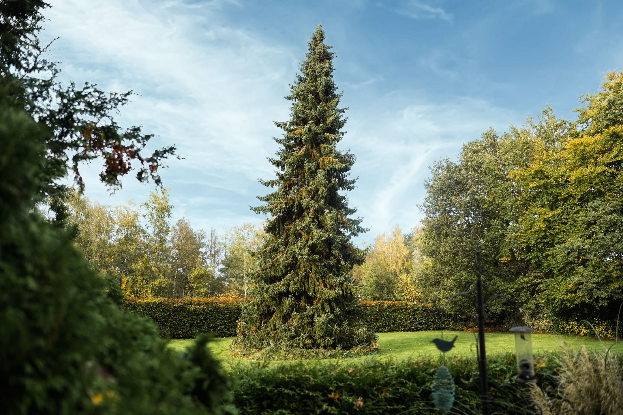 Foto 18 van Apeldoornsestraat 54