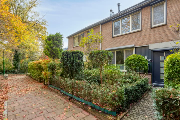 Foto 6 van Hermelijnkwartier 36