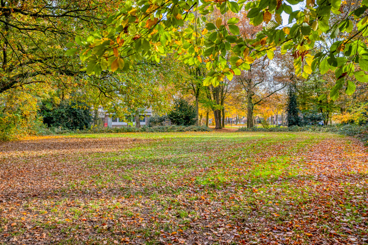 Foto 39 van Hermelijnkwartier 36