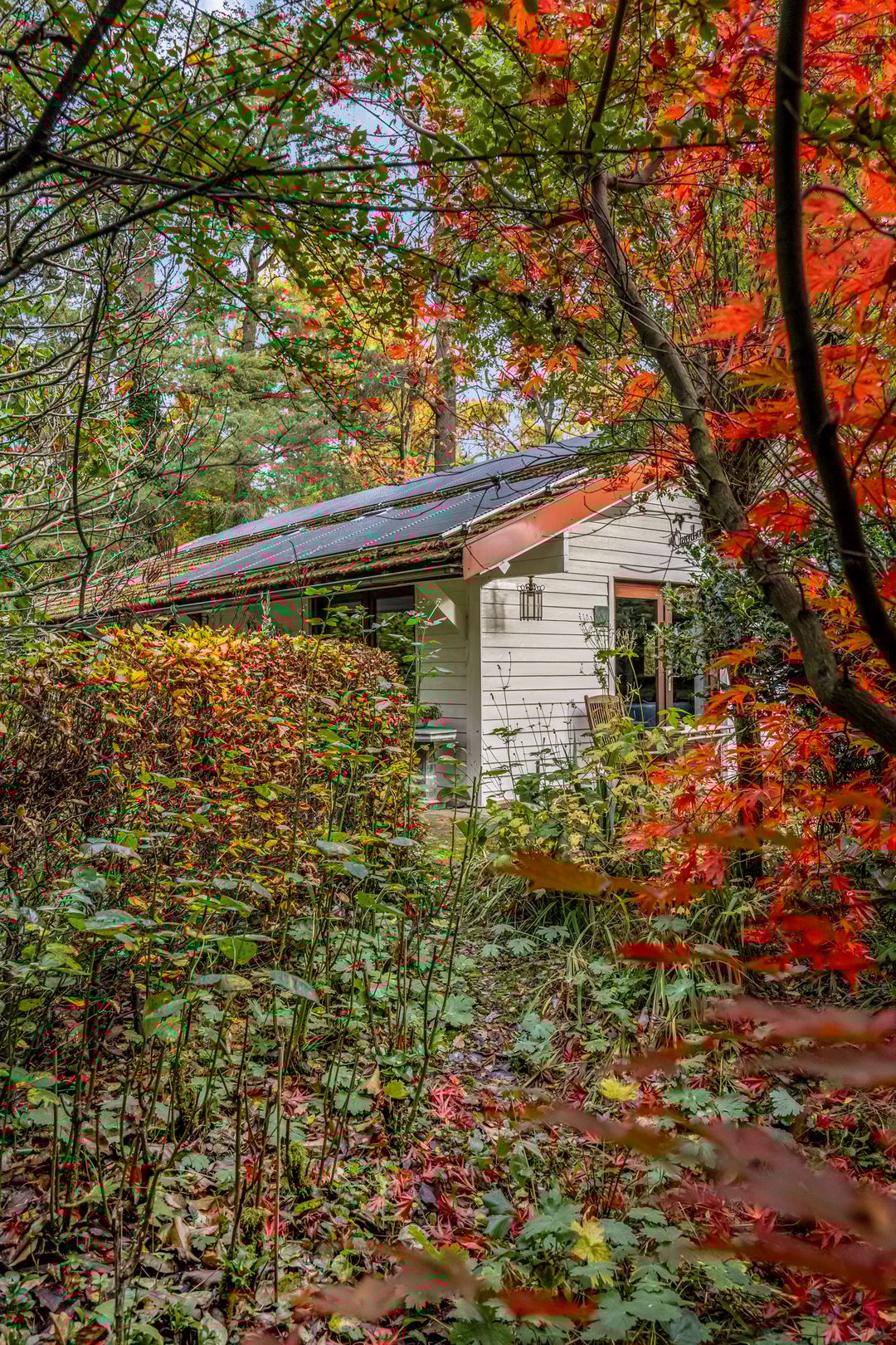 Foto 2 van Laan van Laag Kanje 16-R1