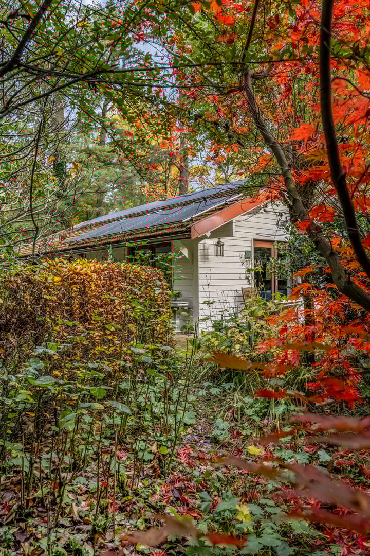 Foto 2 van Laan van Laag Kanje 16-R1