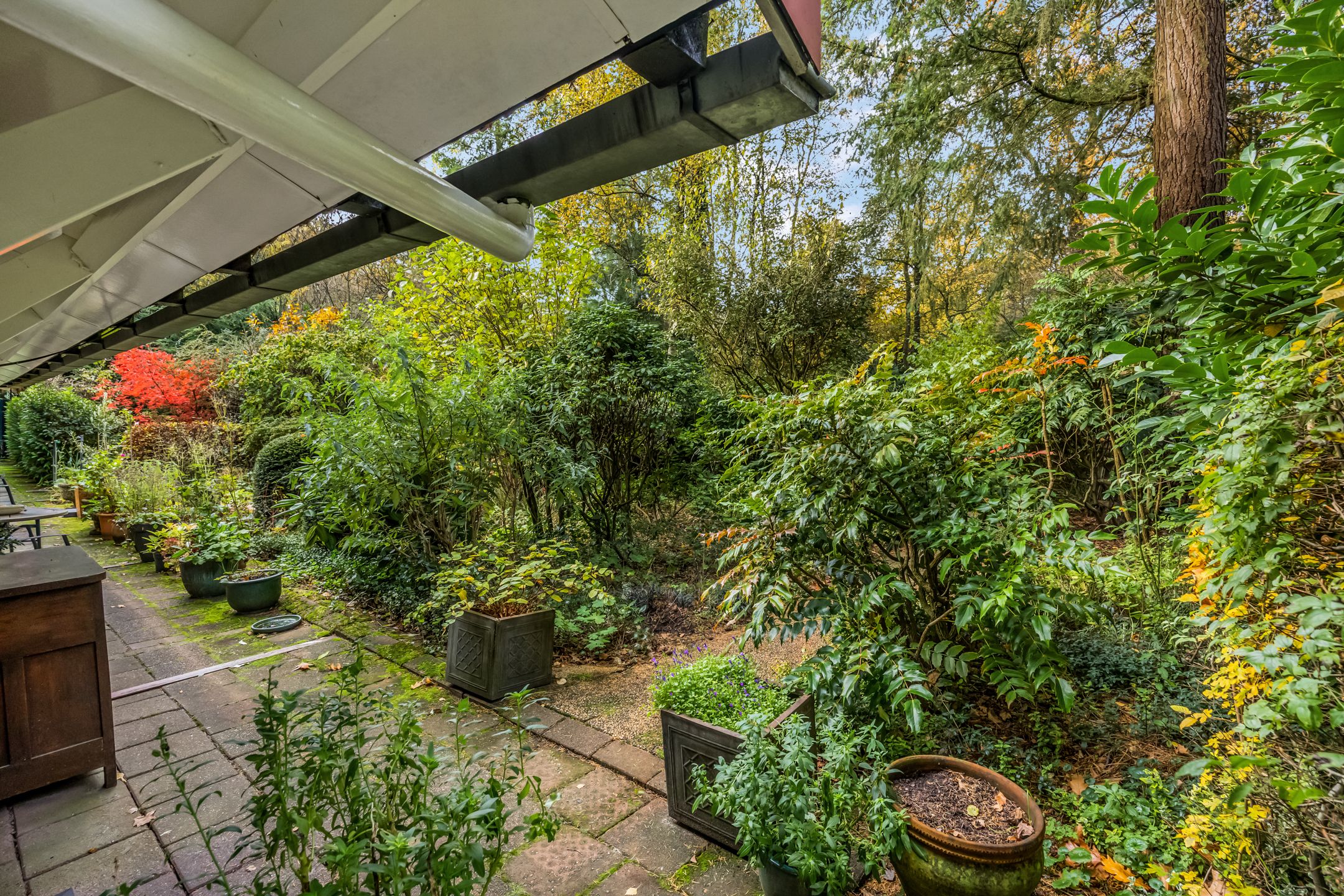 Foto 42 van Laan van Laag Kanje 16-R1