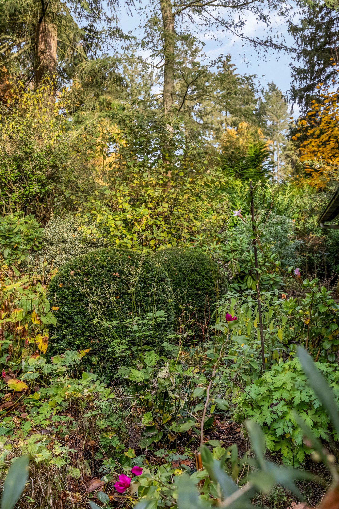 Foto 48 van Laan van Laag Kanje 16-R1