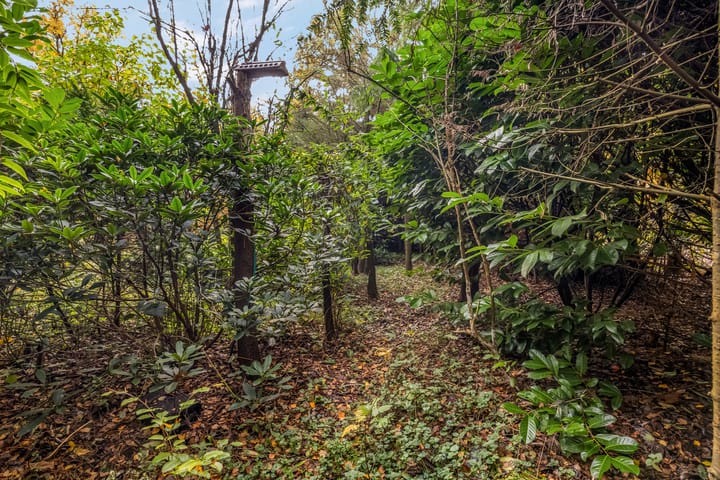 Foto 46 van Laan van Laag Kanje 16-R1