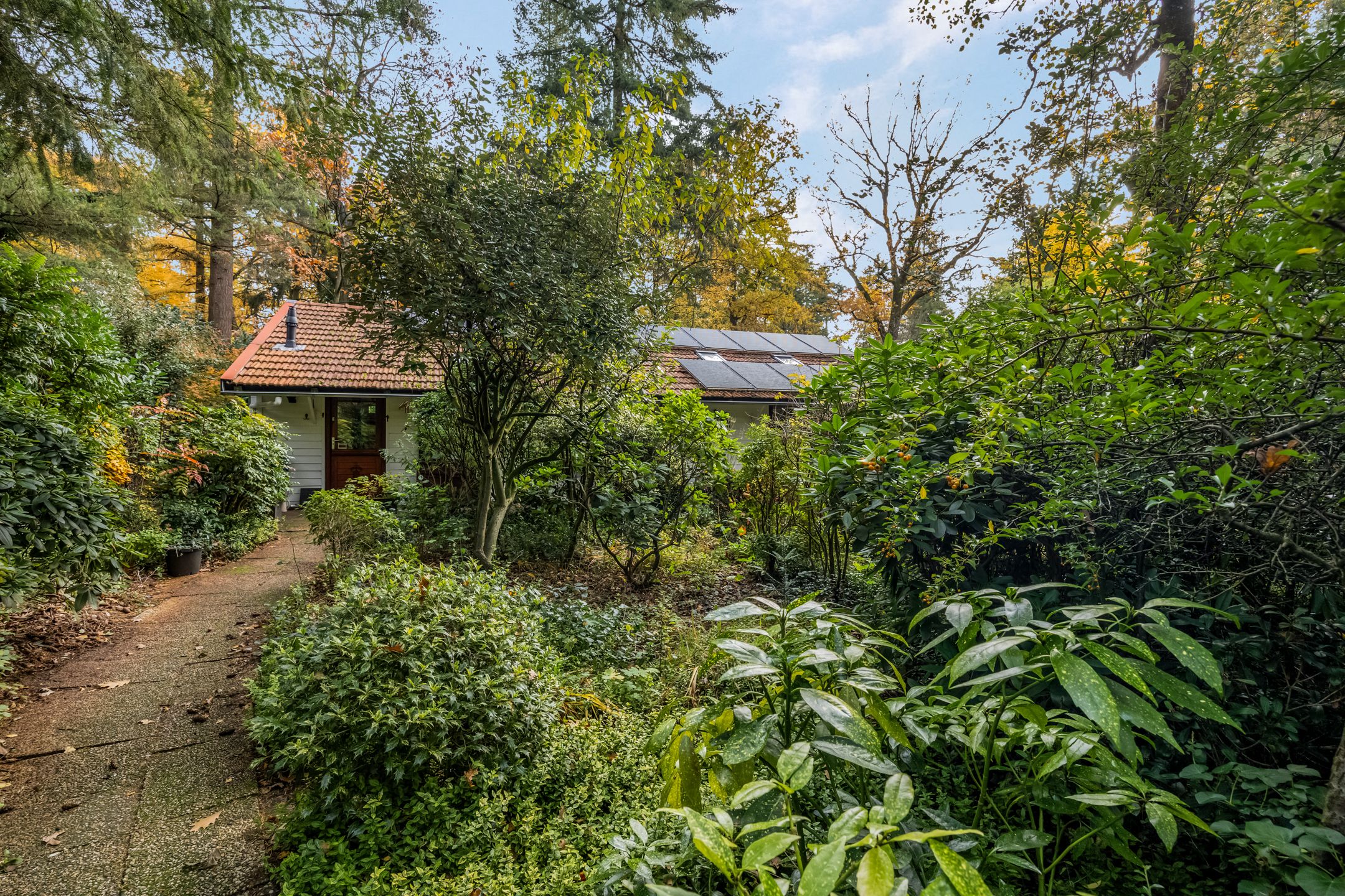 Foto 60 van Laan van Laag Kanje 16-R1