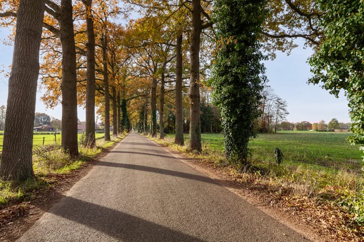 Photo 4 of Kijksteeg 6-A