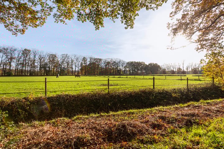 Photo 6 of Kijksteeg 6-A