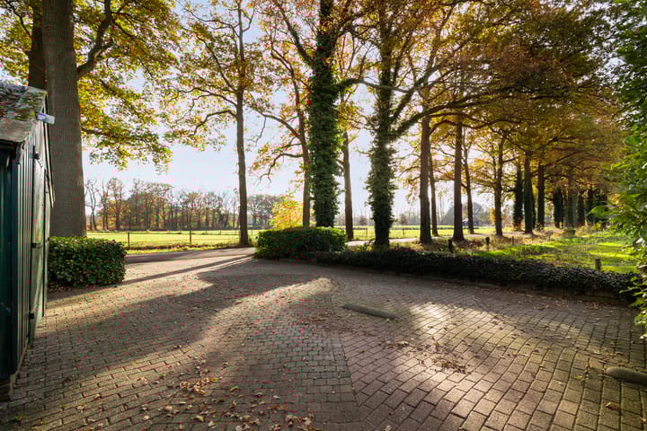 Photo 8 of Kijksteeg 6-A