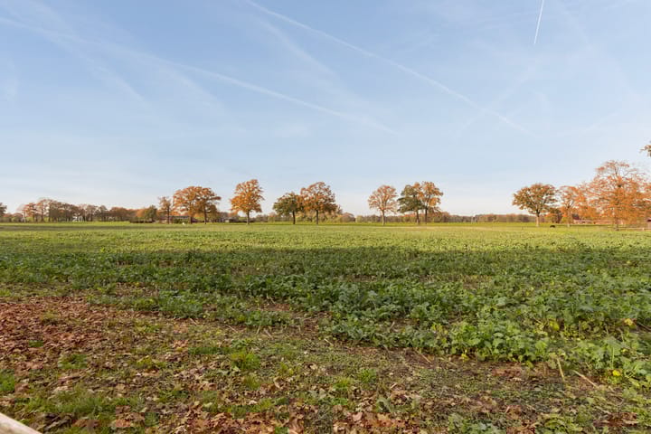 Photo 38 of Kijksteeg 6-A