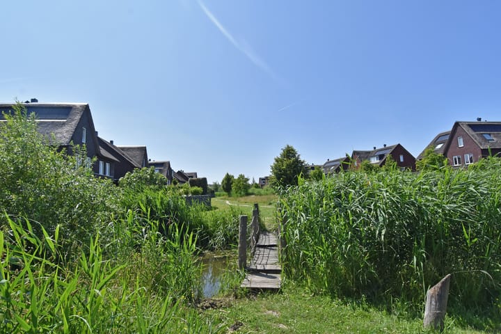 Foto 32 van Atalantazoom 33