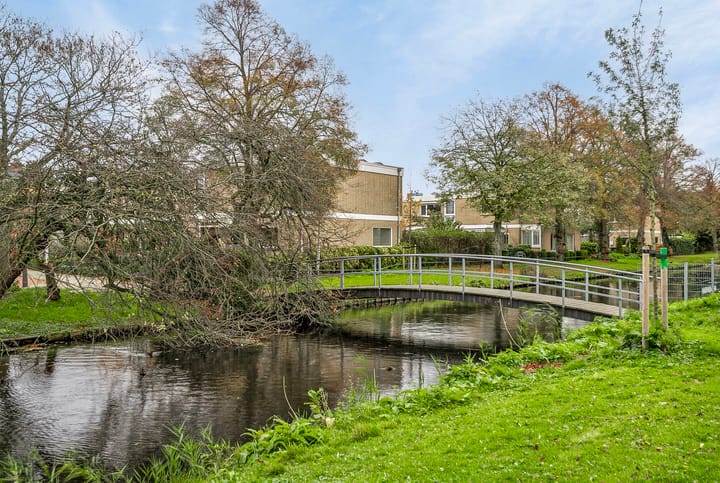 Foto 27 van Dr Schaepmanstraat 55