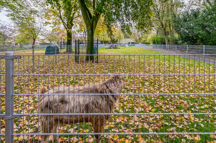 Foto 25 van Dr Schaepmanstraat 55