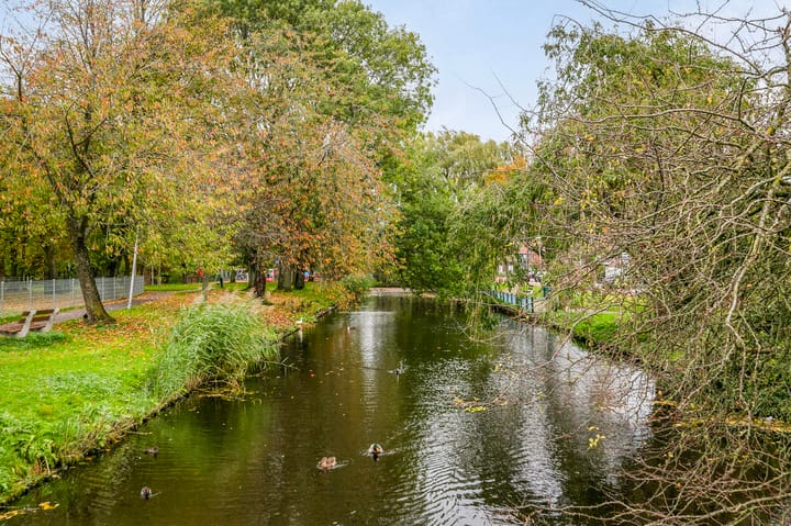 Foto 28 van Dr Schaepmanstraat 55