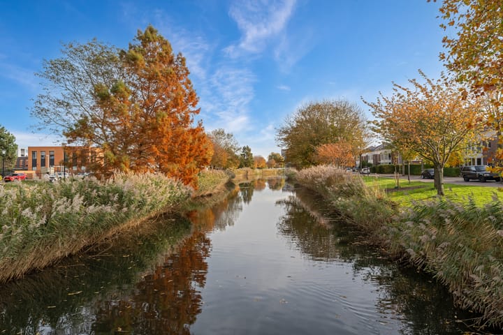 Photo 11 of Avenue Carnisse 69